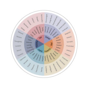 Feelings Wheel Sticker