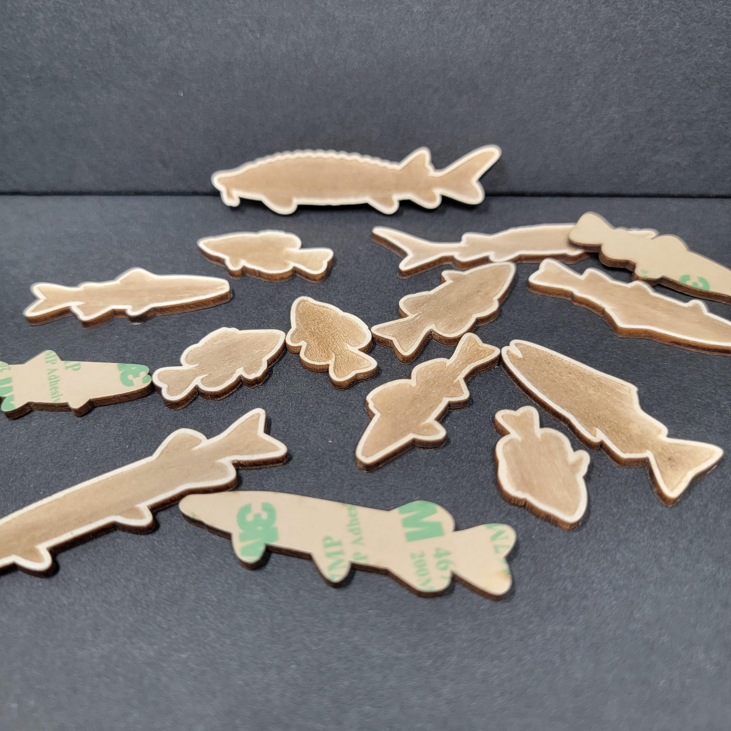 Wisconsin Fishing Map| Fishing Log Gift for Fisherman| Game fish of WI with fish cutouts to track your catch| Sport Fish Sign| Anglers Decor