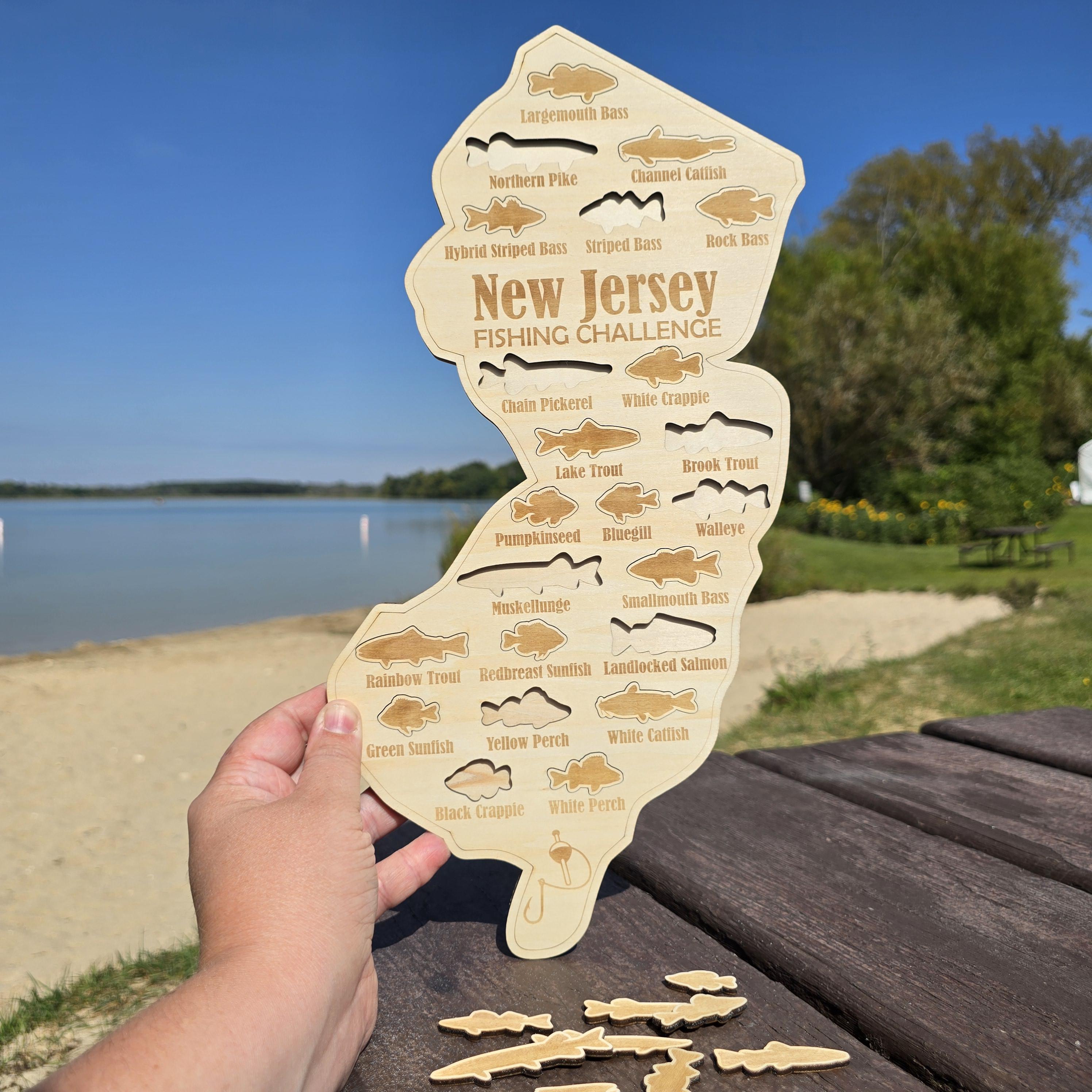 Striped Bass Old Indian River Inlet Bait Tackle Nj Fishing