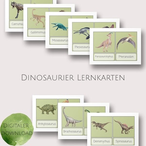 Dinosaurier Karten I Dinosaurier Print I Montessori I Bildkarten I Lernkarten I Flash Cards I  digitaler Download I Vorschule I ausdrucken