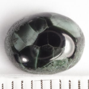 Michigan Greenstone, Mich. State Gem, Isle Royale Greenstone, Chlorastrolite, loose gem - Free Gift Box, Gift Wrap, Gift Tag, Free Shipping