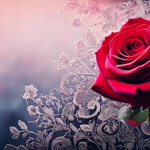 May include: A single red rose with a deep red centre, surrounded by a delicate white lace pattern. The rose is in focus, while the background is blurred and has a soft, pink and blue gradient.