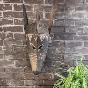 Puede incluir: Máscara de madera tallada, oscura y desgastada, con orejas alargadas y hocico puntiagudo. Presenta patrones geométricos tallados alrededor de los ojos y la frente. El diseño evoca el arte tribal africano, con una estética rústica.