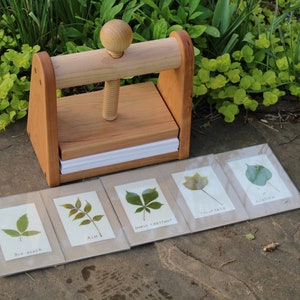Leaf and Flower Press by Tyler Morris Woodworking image 4
