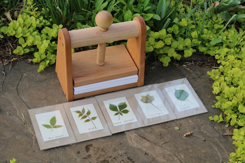 Leaf and Flower Press by Tyler Morris Woodworking with 5 frames