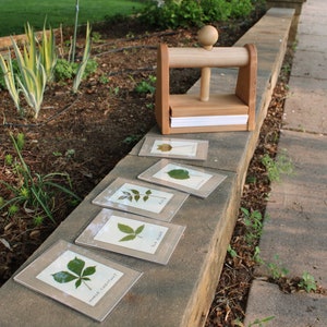 Leaf and Flower Press by Tyler Morris Woodworking image 2