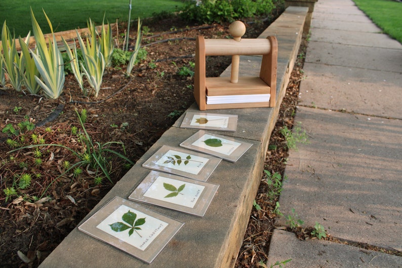 Leaf and Flower Press by Tyler Morris Woodworking immagine 2