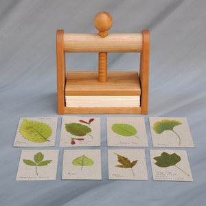 Leaf and Flower Press by Tyler Morris Woodworking immagine 8