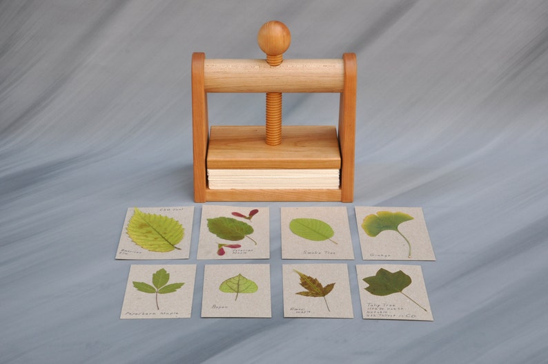 Leaf and Flower Press by Tyler Morris Woodworking immagine 8