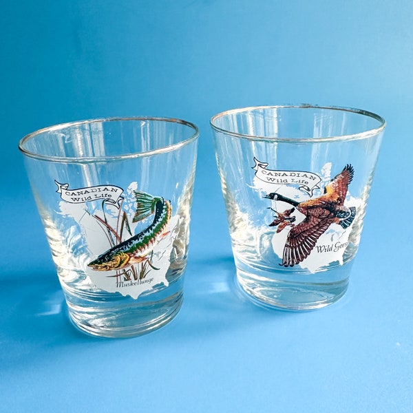 Vintage Canadian Wildlife Old Fashioned Glasses / Whiskey On The Rocks Glassware, Hunting Sportsman Fisherman Barware Glasses
