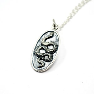 May include: A silver oval pendant necklace with a detailed snake design. The snake is coiled and has a textured surface.