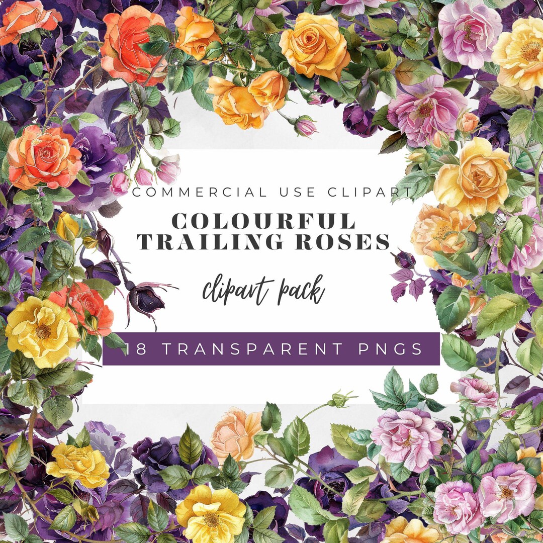 Trailing Roses Drawings Watercolor Roses Clipart, Trailing Floral PNG (18 Files) - Etsy