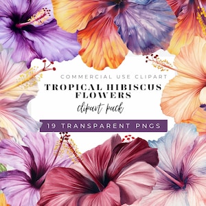 19 Tropical Hibiscus Flowers Watercolour Clipart Design, Instant Digital PNG Download | Card Making, Botanical Clipart, Digital Paper Craft.