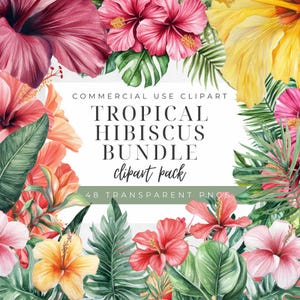 48 Tropical Hibiscus Cliparts. 16 Bouquets, 12 Jungle Borders, 19 Single Hibiscus Flowers. Tropical Bundle, Digital Download, TransparentPNG