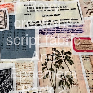 K&ouml;nnte beinhalten: Eine Sammlung von Vintage-Ephemera, darunter eine botanische Illustration einer Pflanze mit gr&uuml;nen Bl&auml;ttern, ein St&uuml;ck Papier mit handschriftlichem Text in italienischer Sprache und ein St&uuml;ck Papier mit einem Stempel und Text in franz&ouml;sischer Sprache. Die Ephemera befindet sich auf einem wei&szlig;en Hintergrund.