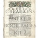 Printable Antique Book Pages Kit 2 - Etsy