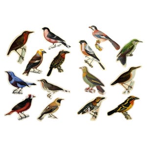 Kit de 4 oiseaux à imprimer