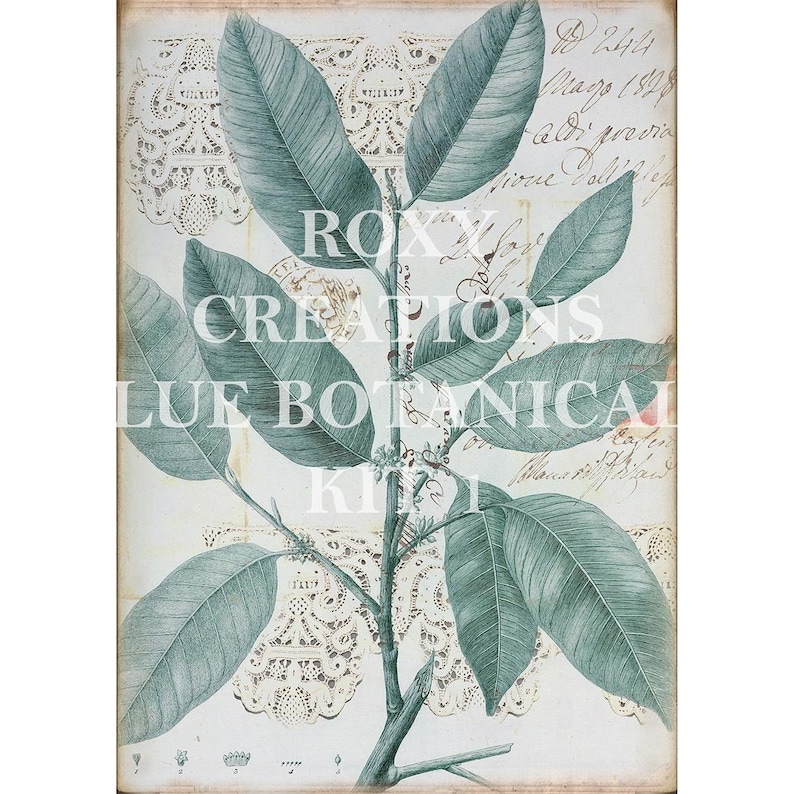 May include: Botanical print featuring a detailed illustration of a plant with large, oval-shaped leaves in shades of green and blue. The print includes the text "ROXY CREATIONS BLUE BOTANICAL KIT". The background has a vintage aesthetic with lace patterns and handwritten script.