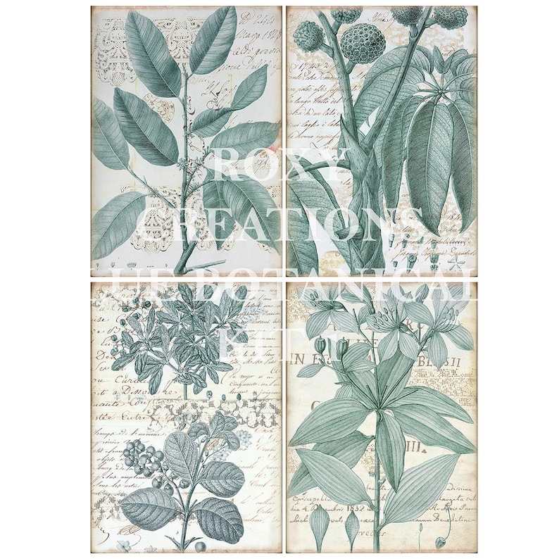 May include: Four-panel botanical print featuring detailed illustrations of various plants in shades of teal and green. Each panel includes handwritten script and decorative elements, creating a vintage aesthetic. The text "ROXY CREATIONS" is visible.