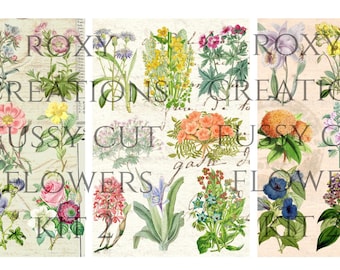 May include: A collage of vintage botanical illustrations featuring various flowers, including roses, lilies, and daisies. The illustrations are in a watercolour style and are set against a cream-coloured background. The text "ROXY CREATIONS FUSSY CUT FLOWERS KIT" is visible at the bottom of the collage.