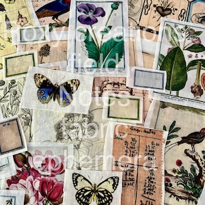 Tessuto misto Roxy Creations FIELD NOTES cotone effimero confezione da 7 pezzi di varie dimensioni