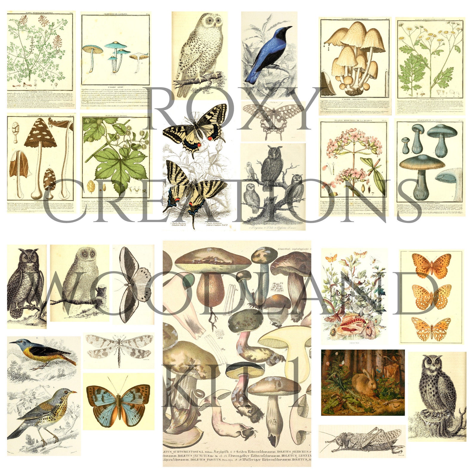 Printable Woodland Kit 1 - Etsy
