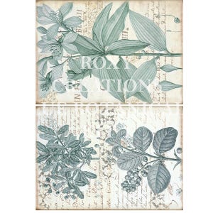 May include: Two botanical prints featuring detailed illustrations of various plants in shades of teal and gray. The prints are set against a backdrop of aged paper with handwritten script. The text "ROXY CREATIONS" is visible on the top print.