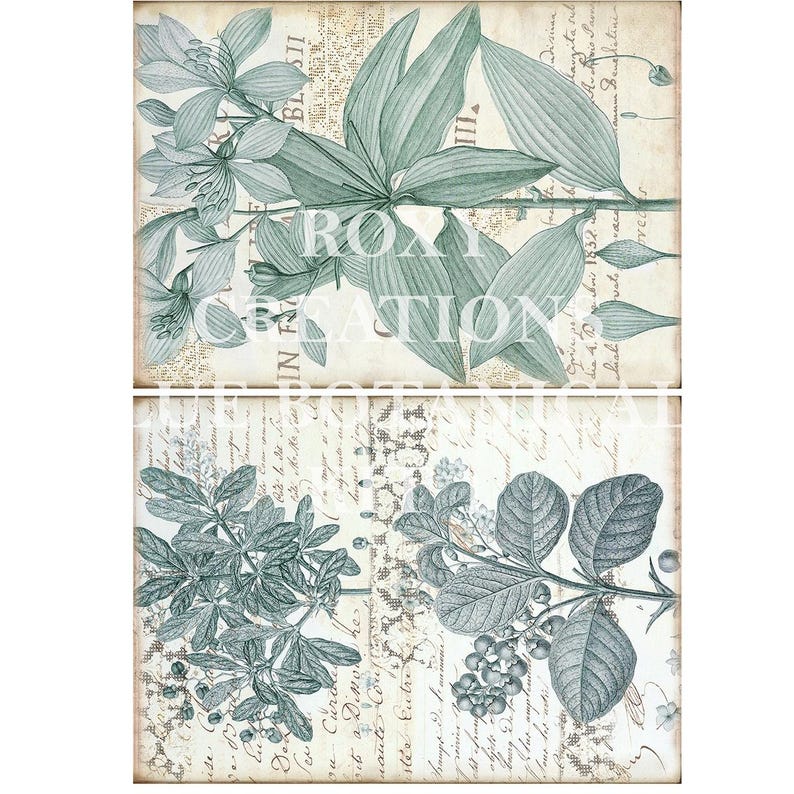 May include: Two botanical prints featuring detailed illustrations of various plants in shades of teal and gray. The prints are set against a backdrop of aged paper with handwritten script. The text "ROXY CREATIONS" is visible on the top print.