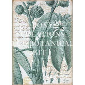 May include: Botanical illustration print featuring a detailed drawing of a plant with large leaves and spherical seed pods. The artwork is in shades of teal and green, with handwritten script in the background. The text "ROXY CREATIONS BOTANICAL KIT 1" is visible.