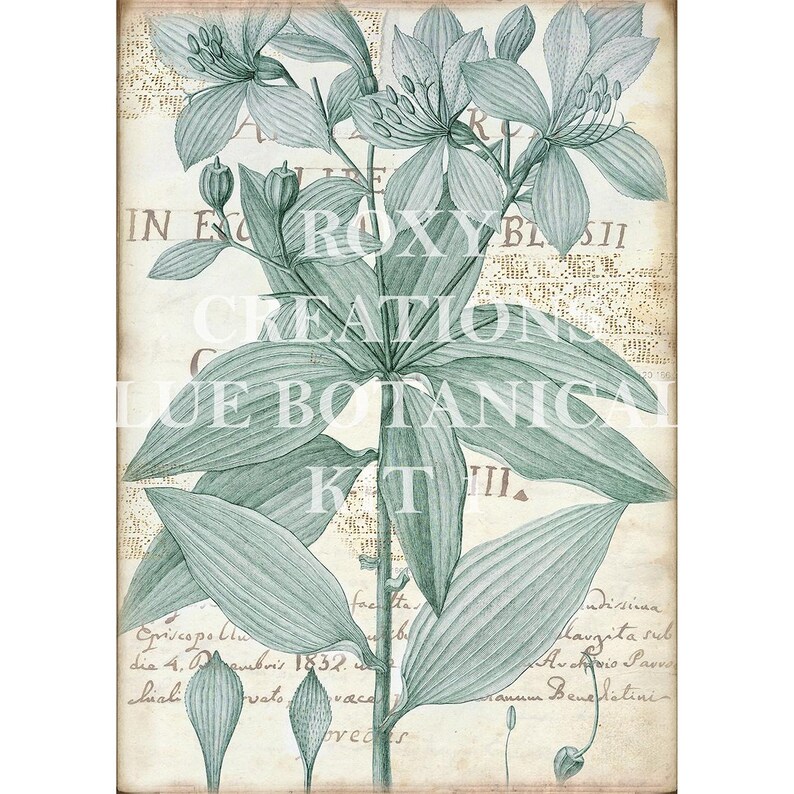 May include: A vintage-style botanical print featuring a detailed illustration of a flowering plant in shades of teal and green. The artwork includes handwritten script and the text "ROXY CREATIONS BLUE BOTANICAL KIT". The background has a textured, aged appearance.
