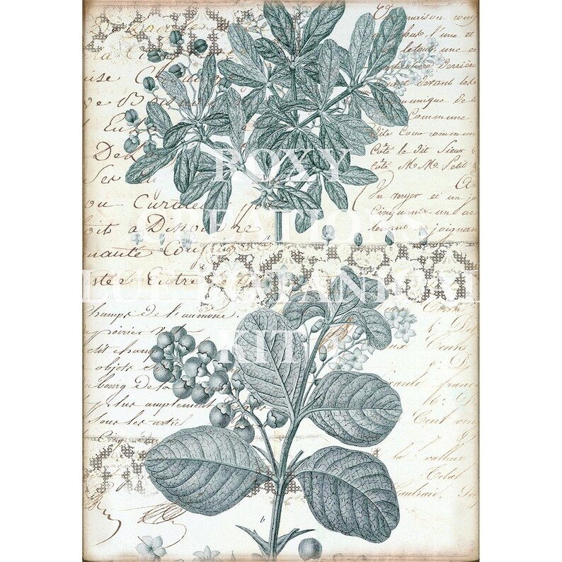 May include: Botanical print featuring detailed illustrations of leaves and berries in shades of teal and gray. The artwork is set against a backdrop of aged paper with handwritten script and decorative lace elements, creating a vintage aesthetic.