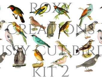 Fussy cut birds printable kit 2