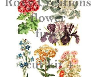 May include: A digital paper craft kit featuring six different flower illustrations. The flowers are a red geranium, a white flower with green leaves, a purple iris, a blue forget-me-not, a yellow and orange flower, and a pink and white flower.