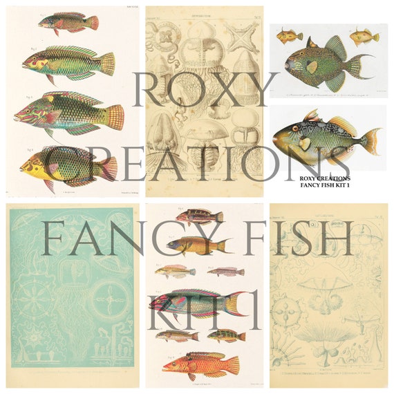 Printable Fancy Fish Kit 1 -  Canada