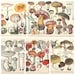 Printable Woodland Kit 1 - Etsy