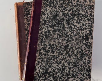 Antique Italian book Annuario della procedura civile 1893