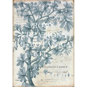 May include: Botanical illustration print featuring a detailed drawing of a tree with large leaves and small flowers in shades of blue-green. The print has a vintage aesthetic with handwritten text and the words "ROXY CREATIONS BOTANICAL KIT".