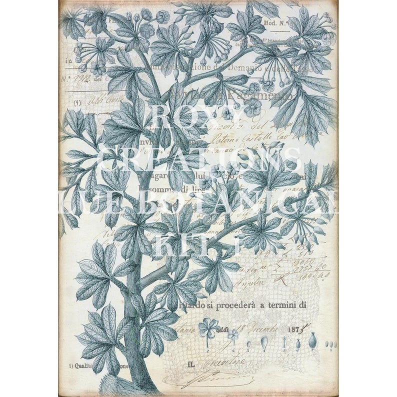 May include: Botanical illustration print featuring a detailed drawing of a tree with large leaves and small flowers in shades of blue-green. The print has a vintage aesthetic with handwritten text and the words "ROXY CREATIONS BOTANICAL KIT".