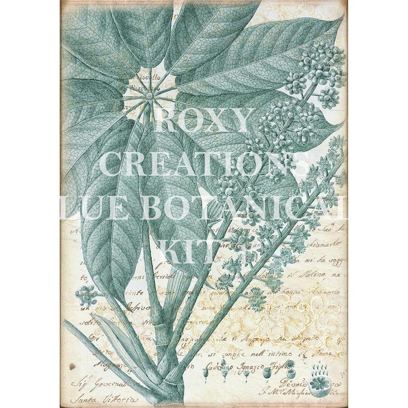 May include: A vintage botanical print featuring a detailed illustration of a plant with large, textured leaves and clusters of small flowers. The print has a teal and cream color palette, with handwritten script in the background. The text "ROXY CREATIONS BLUE BOTANICA KIT" is overlaid on the image.