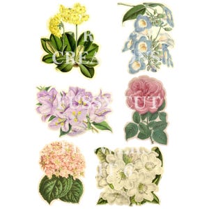 Set met afdrukbare snijbloemen 6 inch