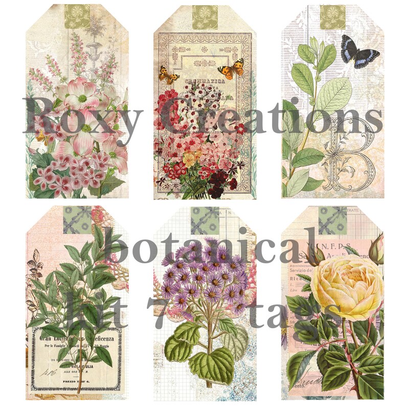 Kit étiquettes botaniques imprimables 7 image 4