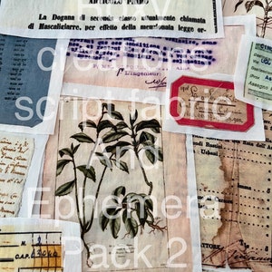 K&ouml;nnte beinhalten: Eine Vintage-botanische Illustration einer Pflanze mit gr&uuml;nen Bl&auml;ttern auf cremefarbenem Hintergrund. Das Bild ist umgeben von Papierschnipseln mit Text in italienischer Sprache, darunter die W&ouml;rter "ARTICOLO PRIMO" und "Pack 2".