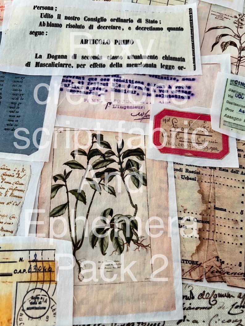 K&ouml;nnte beinhalten: Eine Vintage-botanische Illustration einer Pflanze mit gr&uuml;nen Bl&auml;ttern auf cremefarbenem Hintergrund. Das Bild ist umgeben von Papierschnipseln mit Text in italienischer Sprache, darunter die W&ouml;rter "ARTICOLO PRIMO" und "Pack 2".