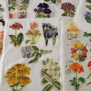 Tessuto misto Roxy Creations FUSSY CUTS cotone uccelli o fiori