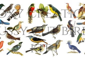 Fussy cut birds printable kit 1