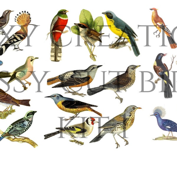 Fussy cut birds printable kit 1