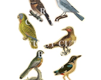 Fussy cut birds printable kit 5