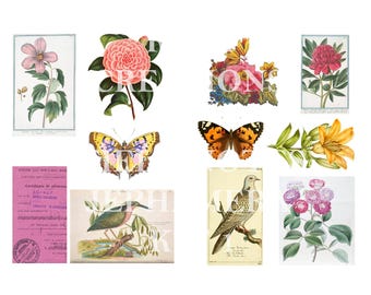 PRINTABLE Field notes ephemera kit 1