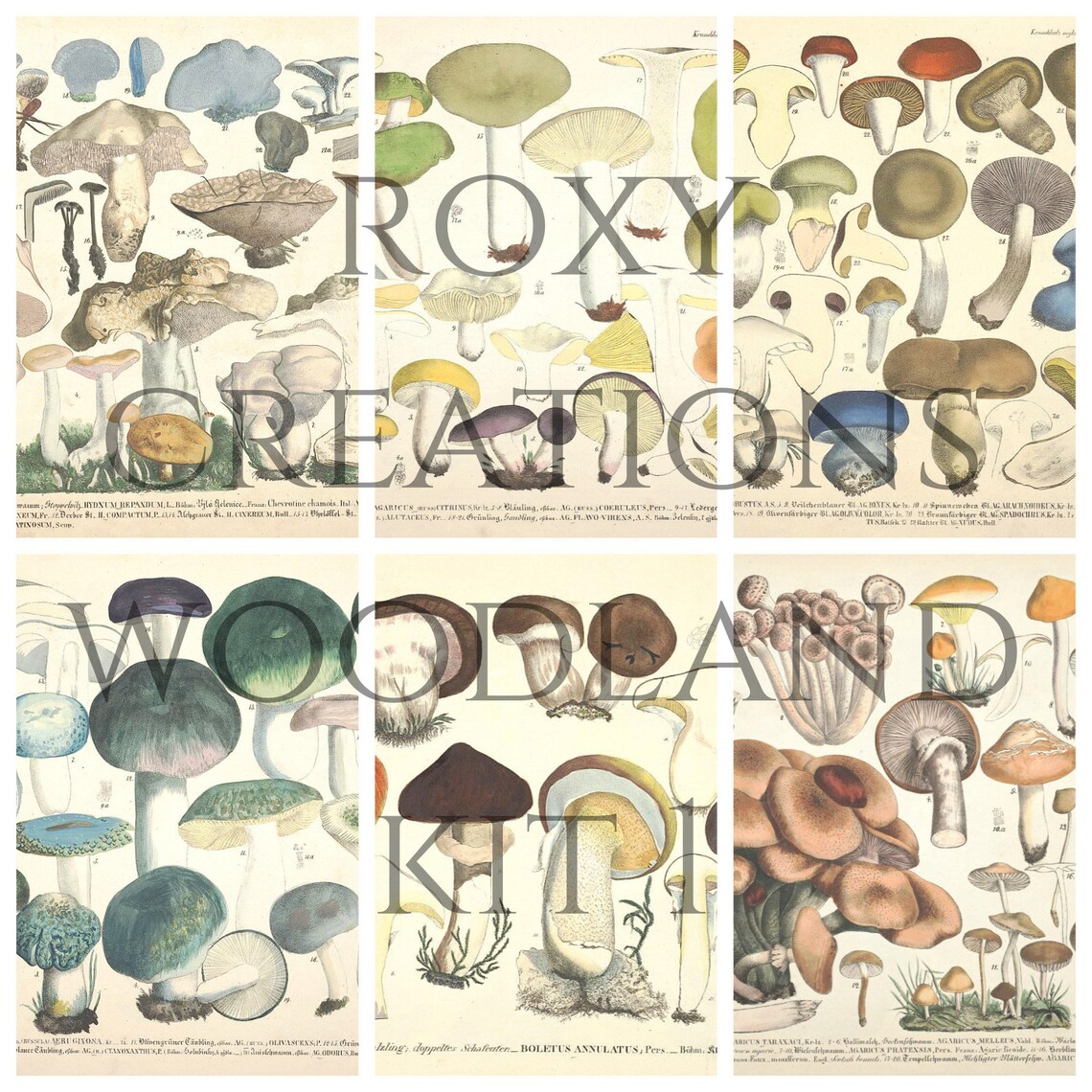 Printable Woodland Kit 1 - Etsy