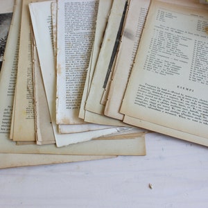 Super antique book page bundle 1800s image 6